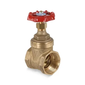 VALVULA COMPUERTA 2 PULG. BRONCE.125LBS CIM